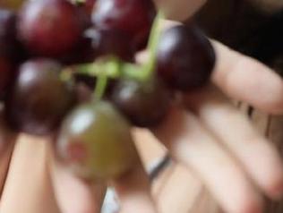 56吃瓜网传送门直达，第一时间吃瓜不落伍