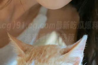 91.cg.com最新吃瓜爆料，快速观看新鲜热辣