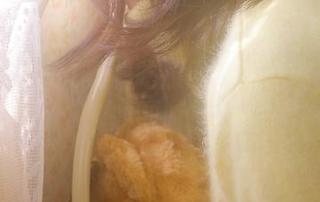 91黑料吃瓜网导航详解,最新黑料即时更新