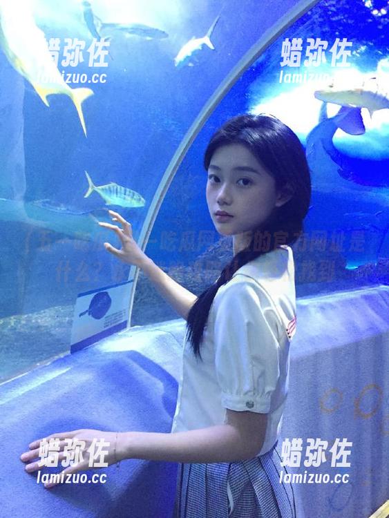 五一吃瓜 五一吃瓜网页版的官方网址是什么?永不迷路攻略让你轻松找到