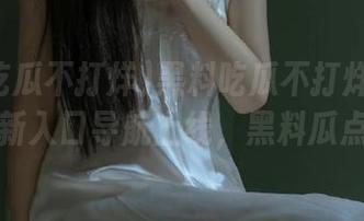 黑料吃瓜不打烊每日大赛全新入口导航上线，黑料瓜点不停