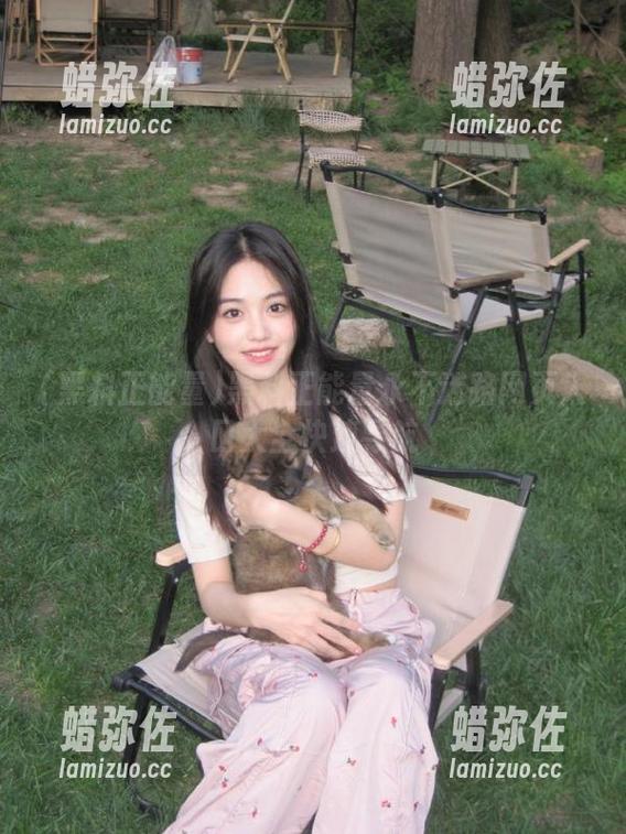 黑料正能量永不迷路网页入口大全快速导航