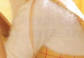 网红黑料正能量入口免费地址曝光，火爆资讯一手掌握