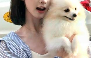 黑料网在线登录失败怎么办，详细解决方案