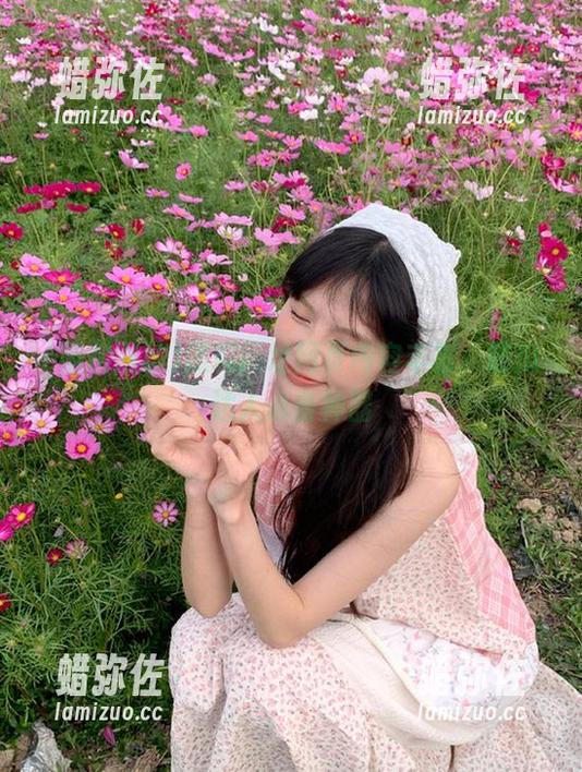 黑料网址 黑料网址网页内容丰富,吃瓜达人必备神器
